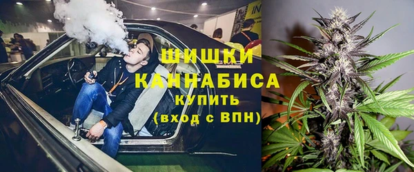 прущие грибы Вязьма