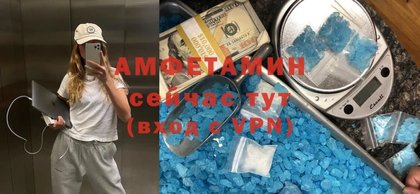 прущие грибы Вязьма