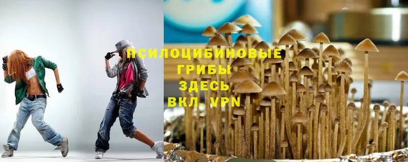 Псилоцибиновые грибы мухоморы  Лесосибирск 